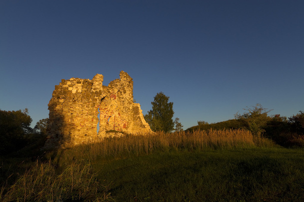 ruiny zamku zakonu Livonia. - Zdjęcie, obraz