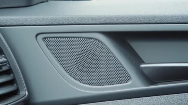 Close-up van een deel van een autointerieur, lederen deurbekleding, luidspreker en deurkruk. - Video