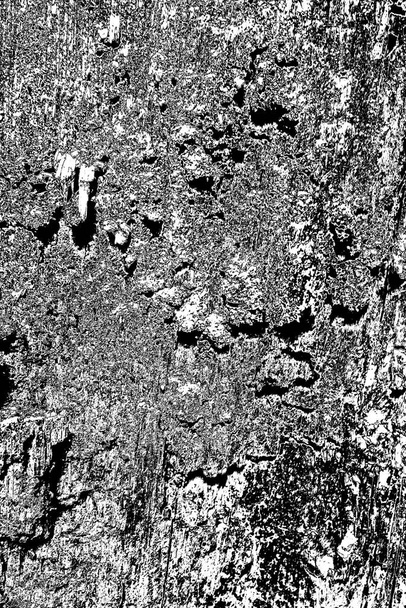 termitový vzor ve dřevě - Fotografie, Obrázek