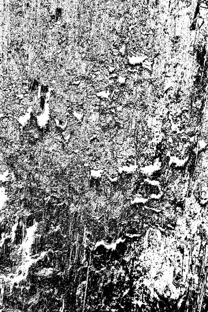 termietenpatroon in hout - Foto, afbeelding
