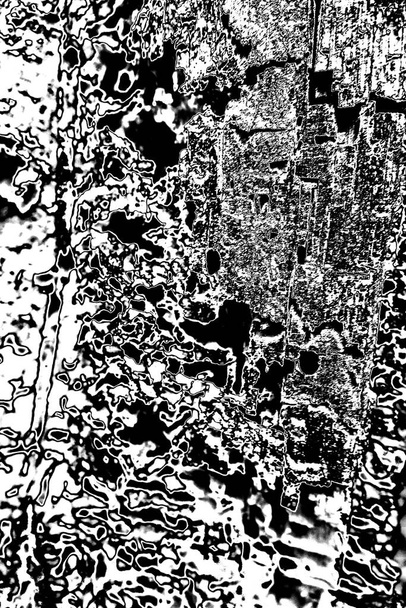 termietenpatroon in hout - Foto, afbeelding