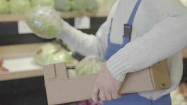 Unrecognizable male employee putting cabbages on shelf in grocery and leaving. Man in uniform adding assortment of vegetables in supermarket. Commerce, retail, business, service. S-log 2. - Materiał filmowy, wideo
