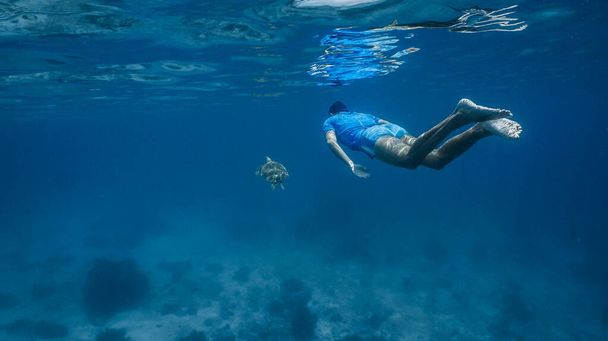 Free diving and chasing green sea turtle in a shallow reef - Photo, Image