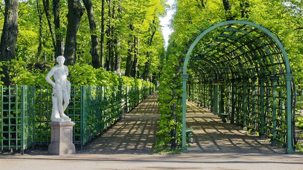 Views of the alleys and sculptures of the Summer garden. The Legacy Of Old St. Petersburg - Photo, Image