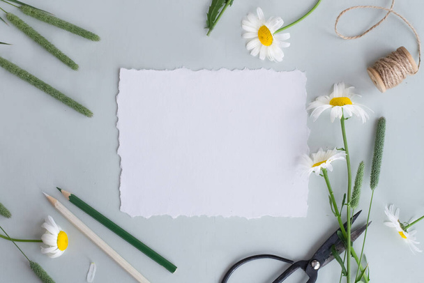 Mockup of paper, daisies on grey green background - Photo, Image