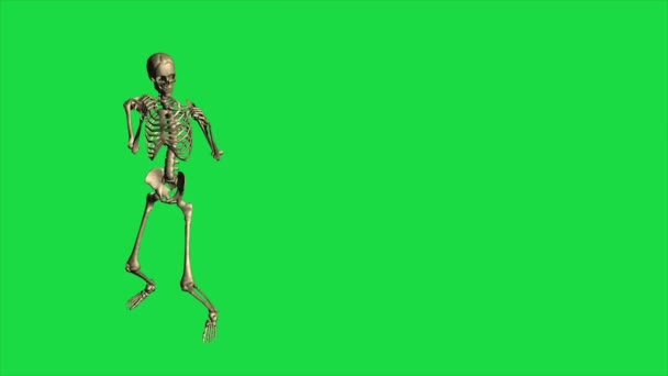 Skeleton-Boxen - getrennt auf grünem Bildschirm - Filmmaterial, Video
