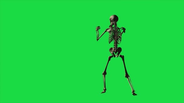 Skeleton Boxing - Separate On Green Screen - Footage, Video