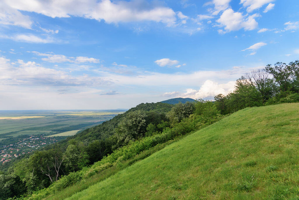 View from the top of the Vrsac hill. Landscape of forest and fields in Vojvodina. - Фото, зображення