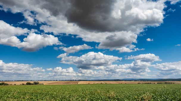 Широкий краєвид з зеленими полями ячменю, Веттерау, Гессен, Німеччина. - Фото, зображення