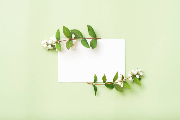 white blank paper birthday mistletoe composition - Valokuva, kuva