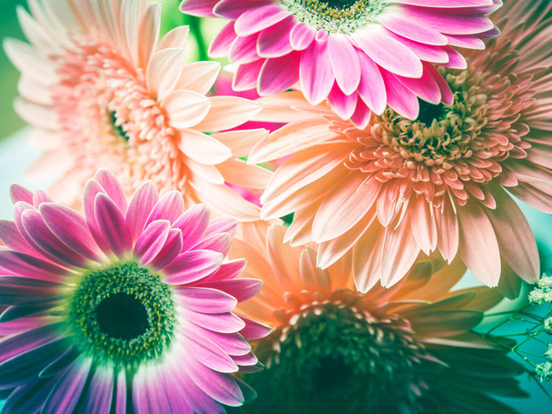 Pink gerbera daisy flowers bouquet - Photo, Image