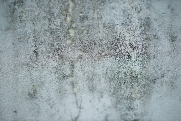 White old cement wall concrete backgrounds textured. Abstract vintage texture. Background from cracks, breaks, stains. Grunge cracks, damage - Фото, зображення