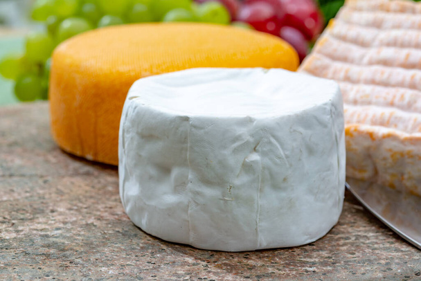 Бельгийская коллекция сыров, желтый сыр аббатства и бри с белой плесенью подаются на мраморной тарелке вблизи
 - Фото, изображение