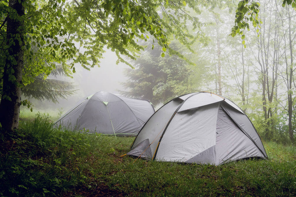 Telttailu luonnossa, teltat vuorijonossa sumussa sateisena päivänä - Valokuva, kuva