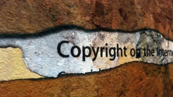 インターネット上の著作権 - 映像、動画