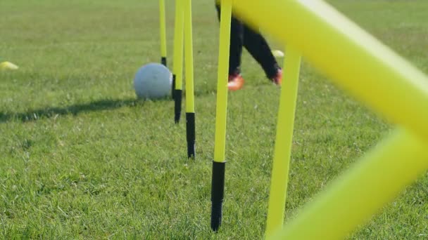 Équipement d'entraînement d'agilité de football. Joueur de football jambes dribble ball parmi les pôles d'agilité. 4k - Séquence, vidéo