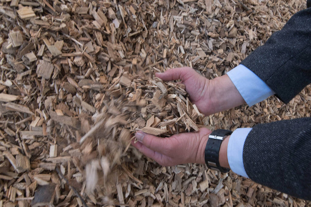 muž drží dřevěné štěpky v rukou, biomasa topení paliva - Fotografie, Obrázek