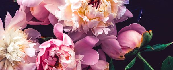 Flores de peonía rosa como fondo de arte floral, flatlay botánico y marca de lujo
 - Foto, imagen