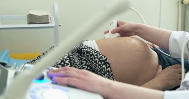 Doktor provádějící ultrazvukové vyšetření těhotné ženy. Diagnostika zdraví v nemocnici - Záběry, video