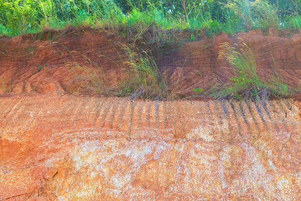 Soil structure - Photo, Image
