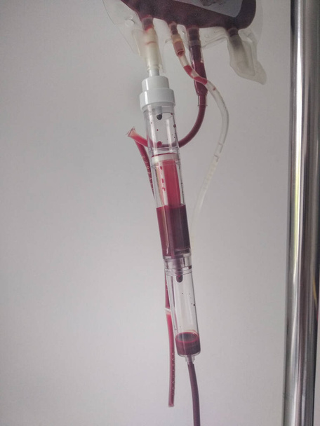 Blood transfusion in hospital white wall background show blood drip. - Photo, Image
