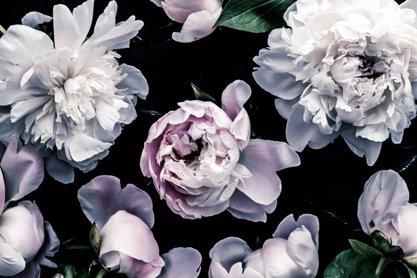 Pastel pioenroos bloemen als bloem kunst achtergrond, botanische flatlay en luxe branding - Foto, afbeelding