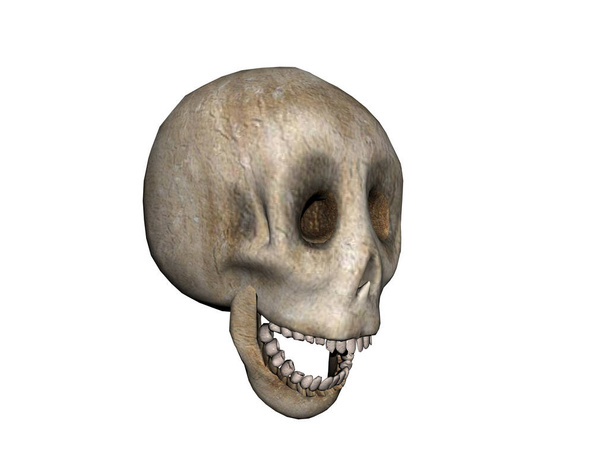 crâne humain osseux avec mâchoire - Photo, image