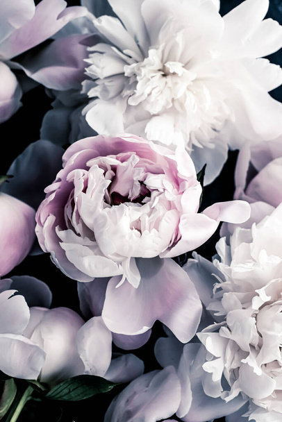 Fleurs pivoine pastel comme fond d'art floral, flatlay botanique et marque de luxe
 - Photo, image