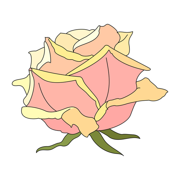 vector rose flower clip art on white isolated background - Wektor, obraz