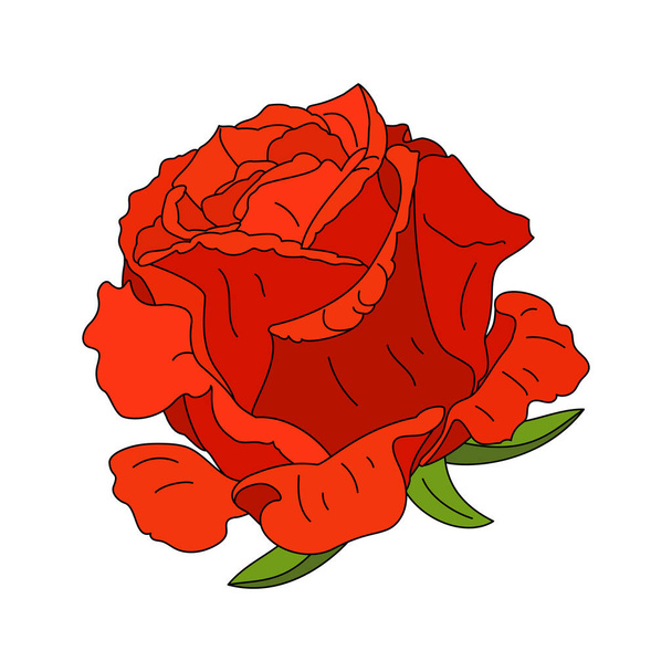 vector rose flower clip art on white isolated background - Vector, Image