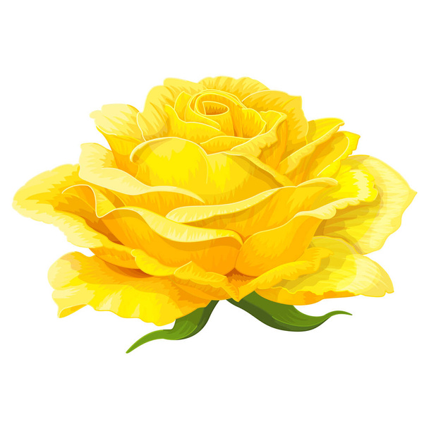 vector rose flower clip art on white isolated background - Вектор,изображение