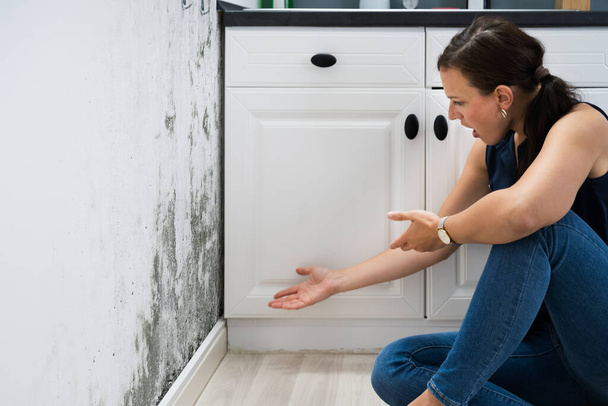 Woman Looking At Mold Wall Damage At Home - Fotoğraf, Görsel