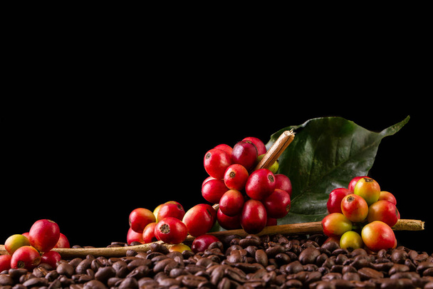 コーヒー豆。木製の背景回転で - 写真・画像