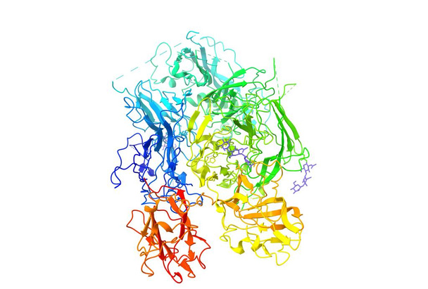 Третичная структура коагуляции человека Фактор VIII, связанный с гемофилией А, мультипликационная модель, 3D иллюстрация
 - Фото, изображение