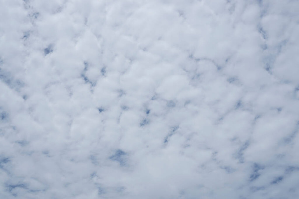 Хвиля м'яких пухнастих білих хмар на небі під назвою Cirrocumulus є висотою тропосферних хмар, включаючи маленькі краплини рідкої води і кристали льоду. - Фото, зображення