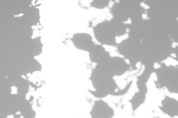 Effet de superposition flou pour effets photo lumière naturelle. Ombres grises de tilleuls qui fleurissent sur un mur blanc. Contexte abstrait du concept de nature neutre pour la présentation du design.  - Photo, image