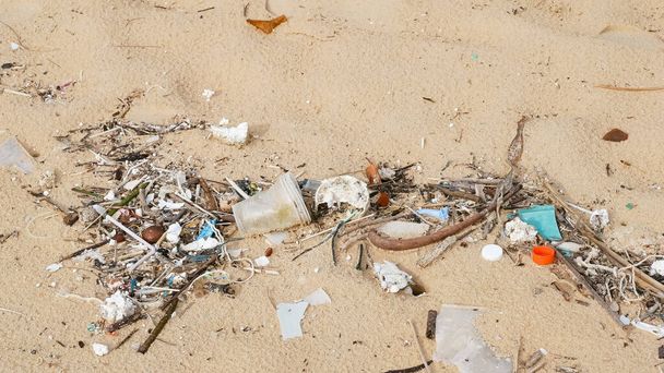 Environmental pollution. Ecological problem. Garbages, plastic, and wastes on the sandy beach of tropical sea.  - Zdjęcie, obraz