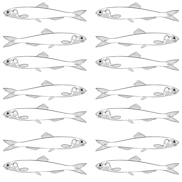 ilustración de sardinas una escuela de peces en una fila
 - Vector, imagen