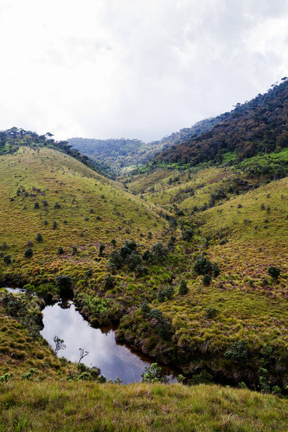 Río en las llanuras de Horton, Sri Lanka
 - Foto, Imagen