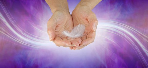 A Message from your Guardian Angel banner - female cupped hands with a delicate white feather against a purple background with a swish of white laser lines flowing from left to right and copy space - Photo, Image