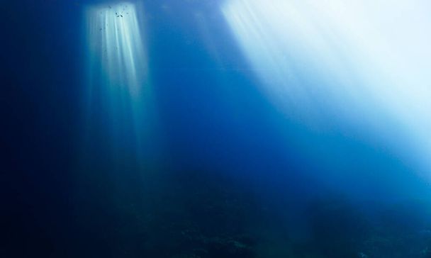 Cattedrali di luce sott'acqua. Da una subacquea diva a Koh Haa in Thailandia. - Foto, immagini