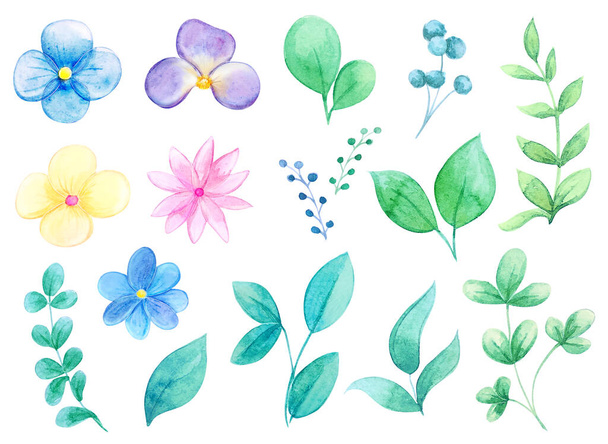 Watercolor set of cute flowers, leaves and branches. Watercolor floral collection. Big Set watercolor elements - wildflowers, herbs, leaves - Foto, Imagem