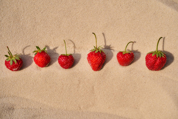 Erdbeeren liegen auf dem heißen Sand der Wüste. Blick von oben. Zusammensetzung. Hochwertiges Foto - Foto, Bild