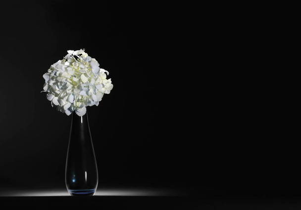 Flowers in a vase - Фото, изображение