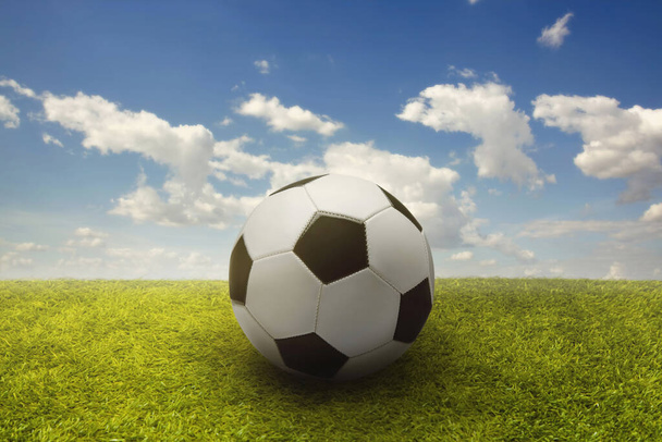 Soccer ball on a playing field - Foto, imagen