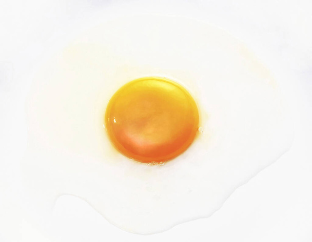 close up of Egg yolk - Photo, image
