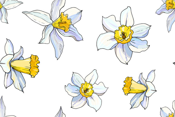 vector illustration of blooming narcissus flowers set, floral background  - Vettoriali, immagini