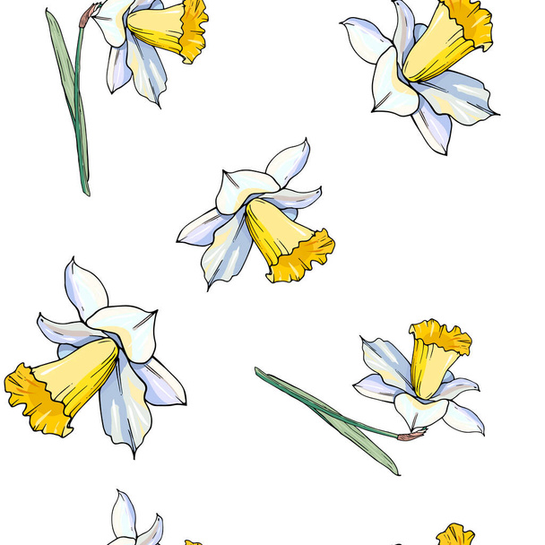 vector illustration of blooming narcissus flowers set, floral background  - Vector, Image