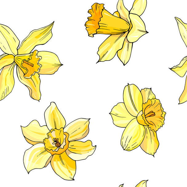 vector illustration of blooming narcissus flowers set, floral background  - Wektor, obraz