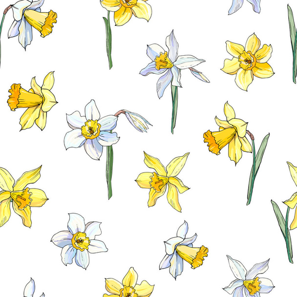 Vektor Illustration der blühenden Narzissenblumen gesetzt, floraler Hintergrund  - Vektor, Bild
